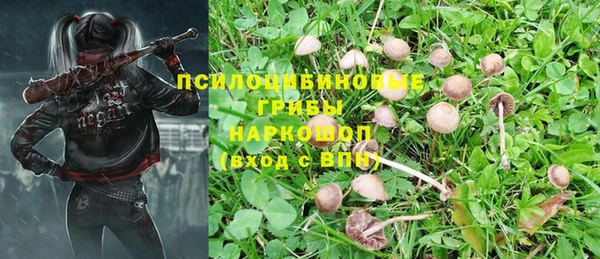 каннабис Алексин