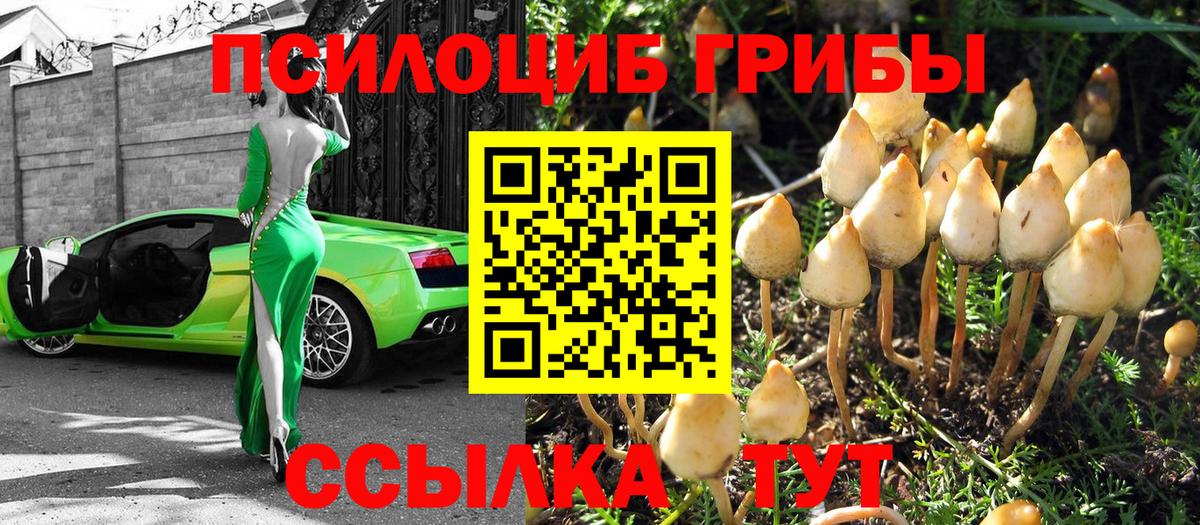 Псилоцибиновые грибы Psilocybine cubensis  Вход с VPN  Белорецк  Галлюциногенные грибы прущие грибы 