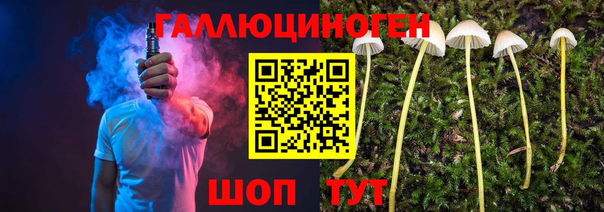 Псилоцибиновые грибы мухоморы Белорецк